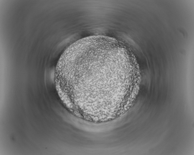 X0000113260047200910011416
