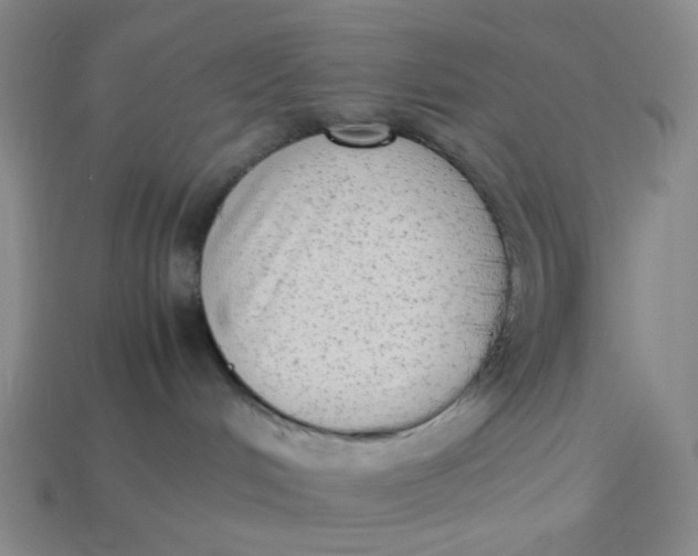 X0000113260048200910011416