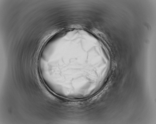 X0000113260049200910011416