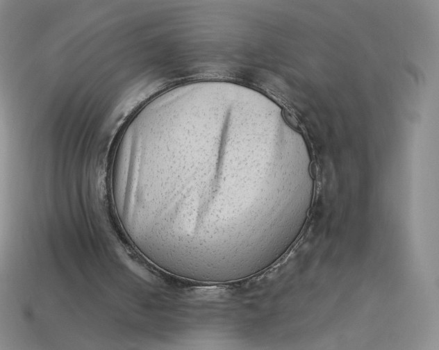 X0000113260050200910011416