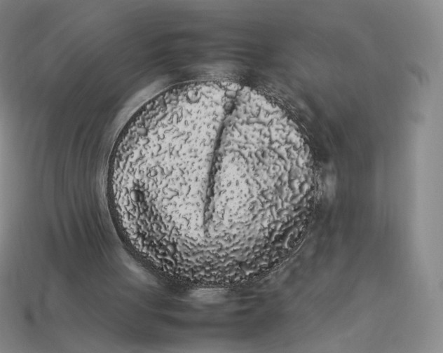 X0000113260051200910011416