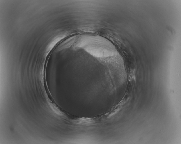 X0000113260052200910011416