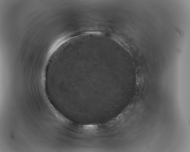 X0000113260053200910011416
