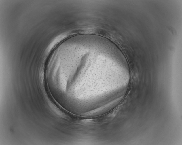 X0000113260054200910011416