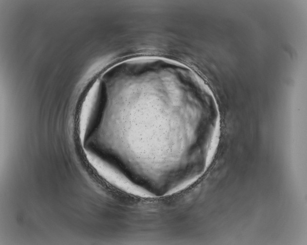 X0000113260055200910011416