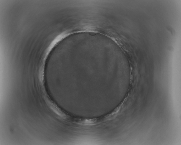 X0000113260056200910011416