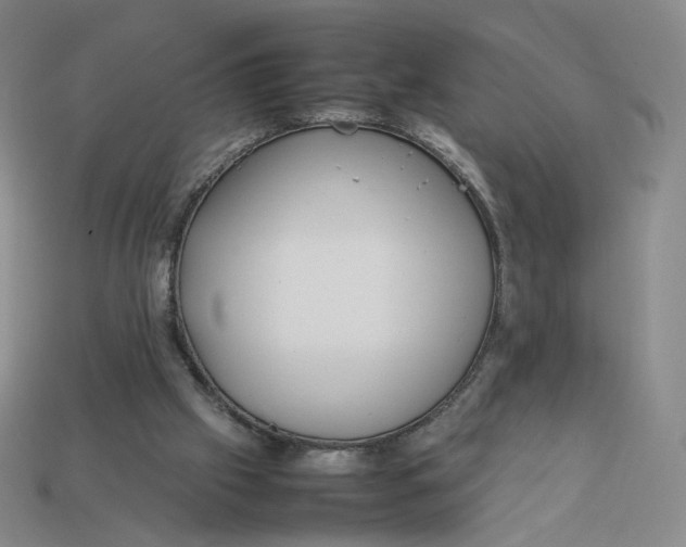 X0000113260057200910011416
