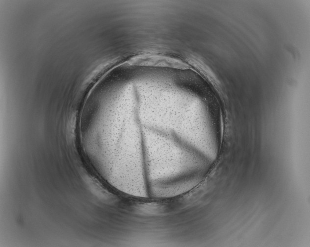 X0000113260058200910011416
