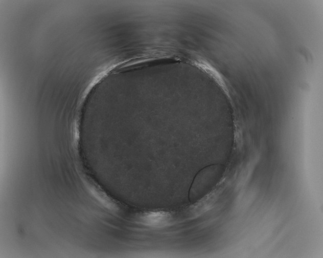 X0000113260059200910011416