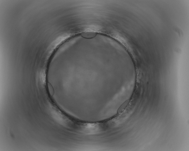 X0000113260060200910011416