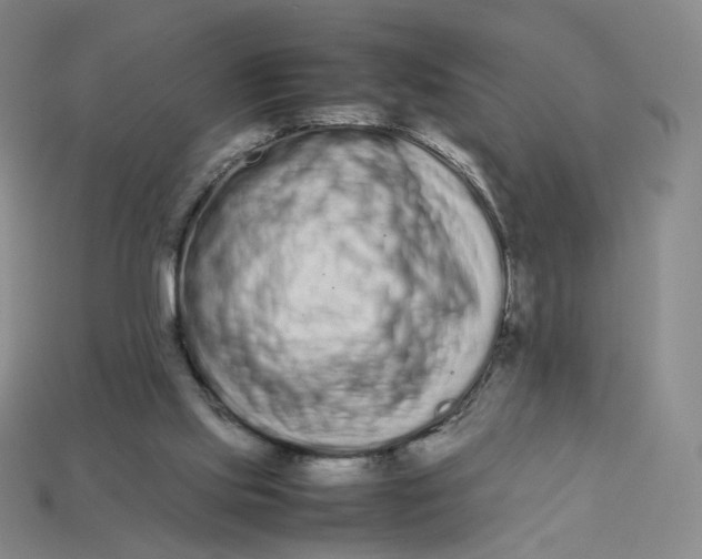 X0000113260061200910011416