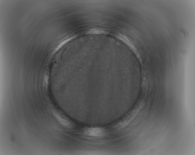 X0000113260063200910011416