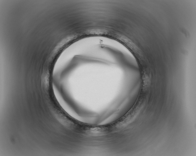 X0000113260064200910011416