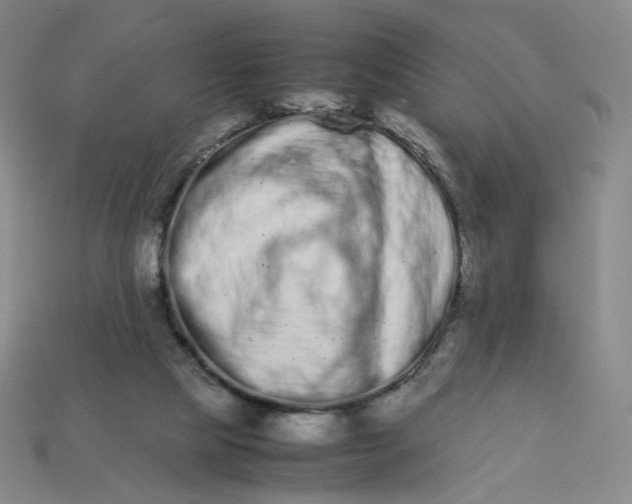 X0000113260065200910011416