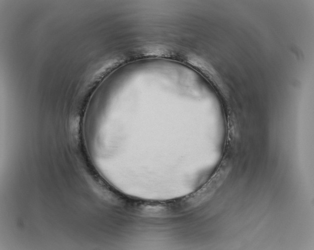 X0000113260066200910011416