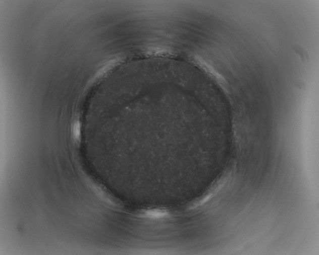 X0000113260067200910011416