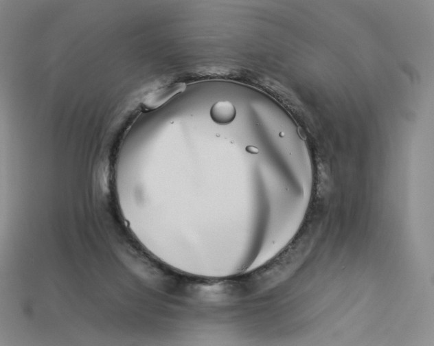 X0000113260068200910011416