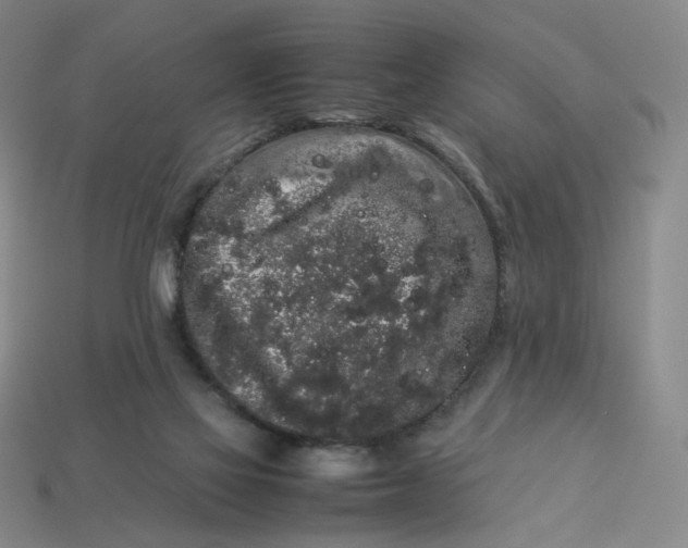 X0000113260069200910011416