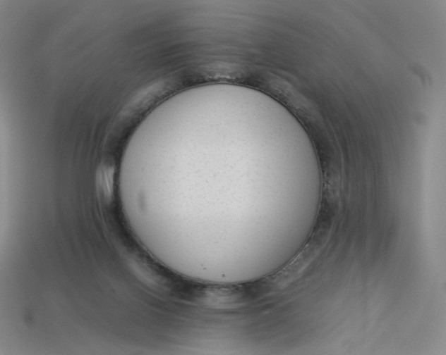X0000113260070200910011416