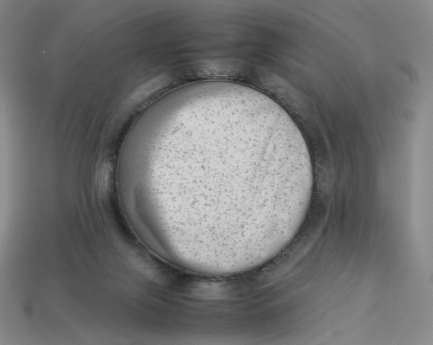 X0000113260071200910011416