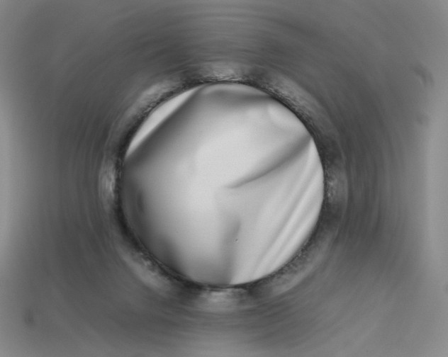 X0000113260072200910011416