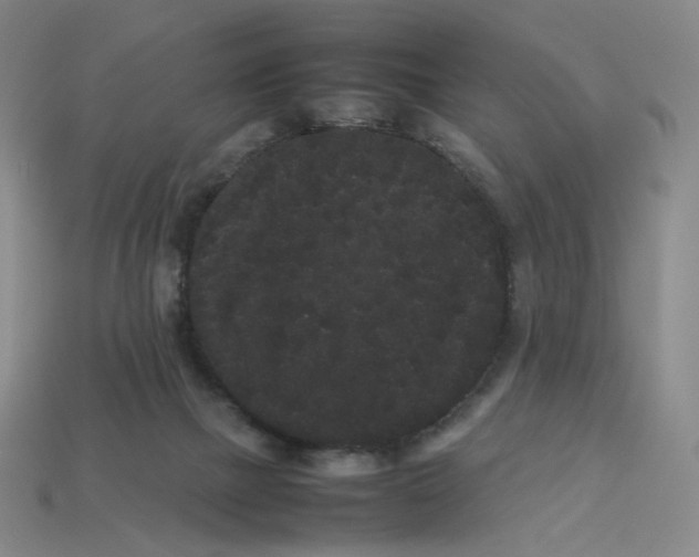 X0000113260073200910011416