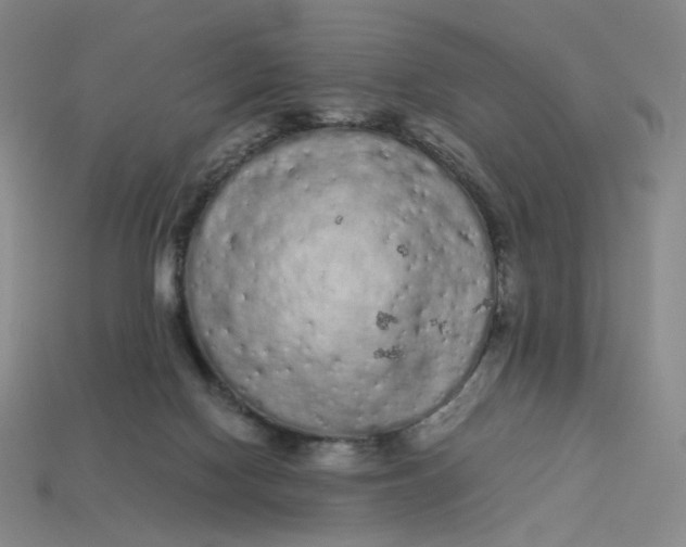 X0000113260074200910011416