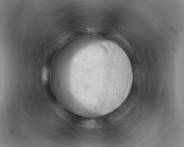 X0000113260075200910011416