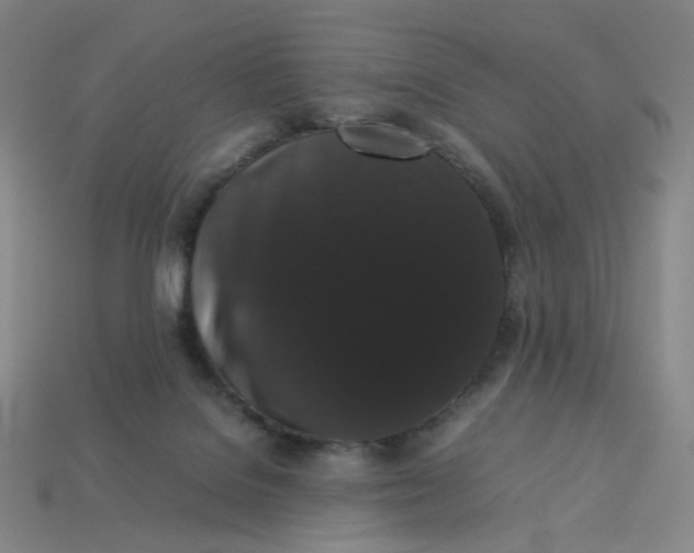 X0000113260076200910011416