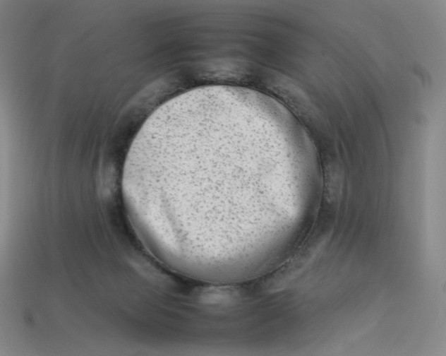 X0000113260077200910011416