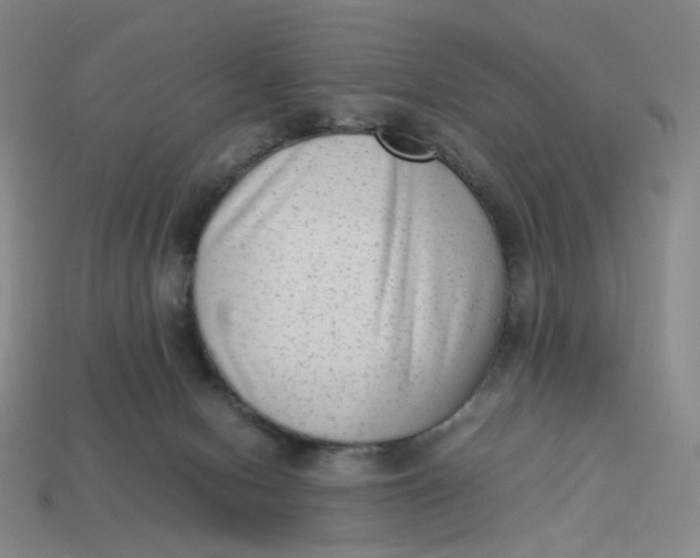 X0000113260078200910011416