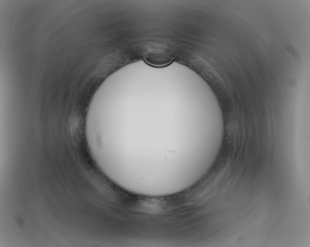 X0000113260079200910011416