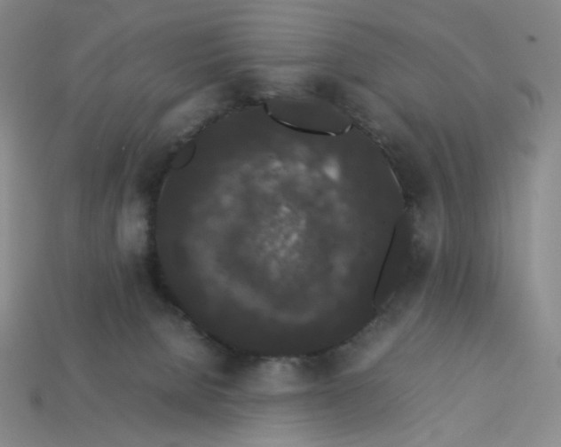 X0000113260080200910011416