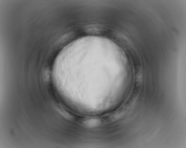 X0000113260081200910011416