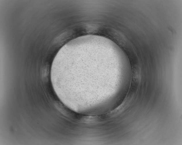 X0000113260082200910011416