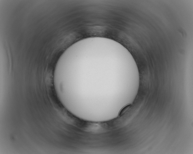 X0000113260083200910011416