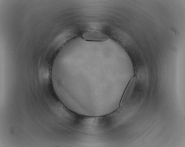 X0000113260084200910011416