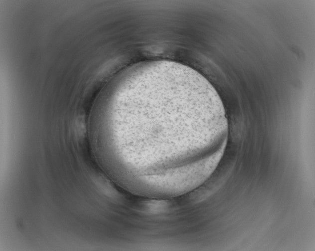 X0000113260085200910011416