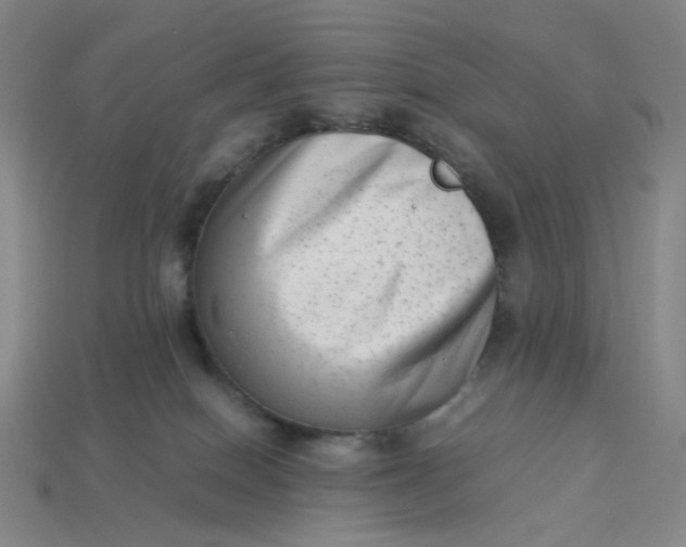 X0000113260086200910011416