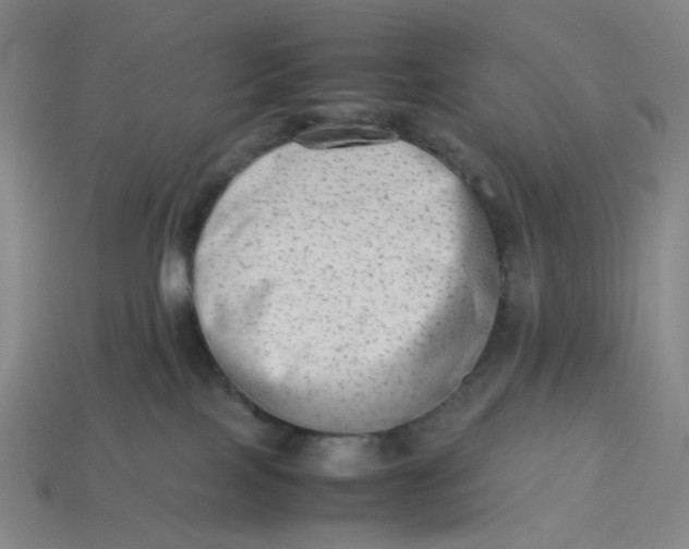 X0000113260089200910011416