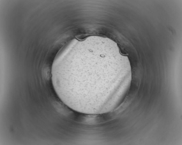 X0000113260090200910011416