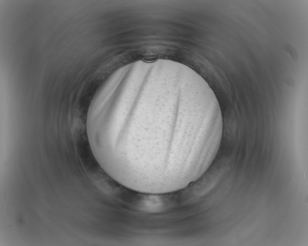 X0000113260091200910011416
