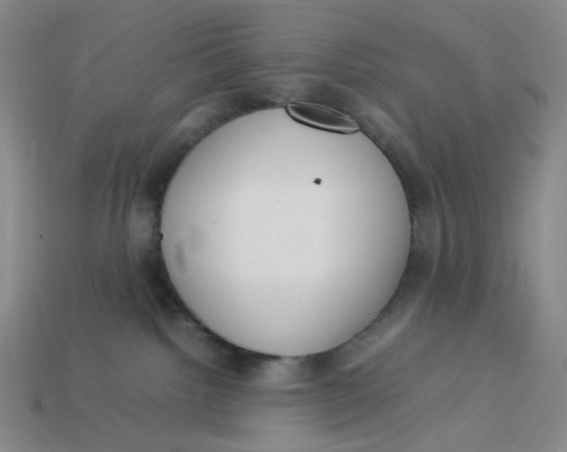 X0000113260092200910011416