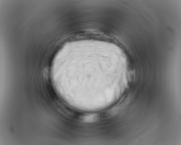X0000113260093200910011416