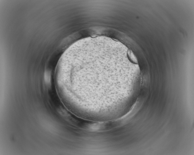 X0000113260094200910011416