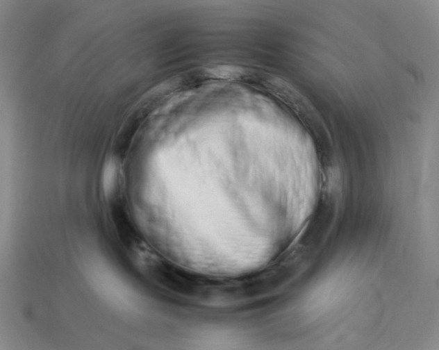 X0000113260095200910011416