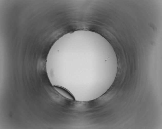 X0000113260096200910011416