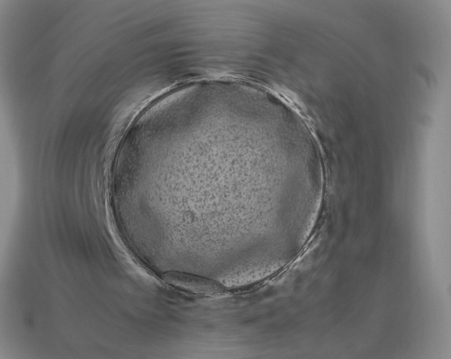 X0000113260097200910011416