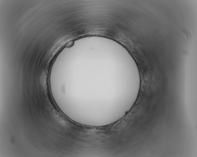 X0000113260098200910011416