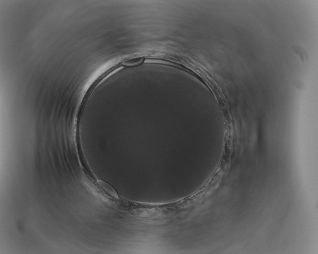 X0000113260100200910011416